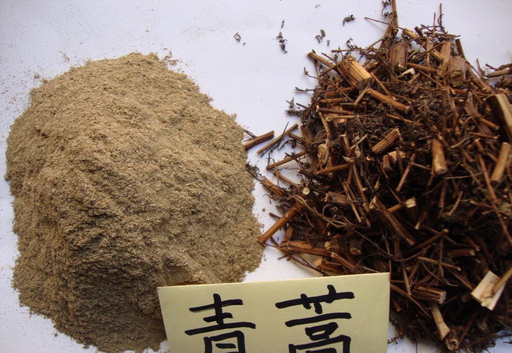 Thanh hao hoa vàng (thanh cao hoa vàng) có tác dụng gì