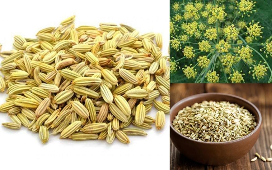 Tiểu hồi hương có tác dụng gì