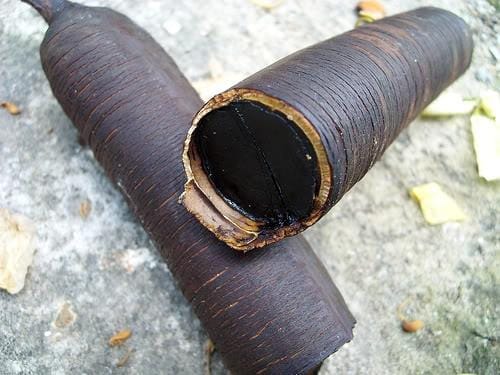 Trái ô môi miền Nam