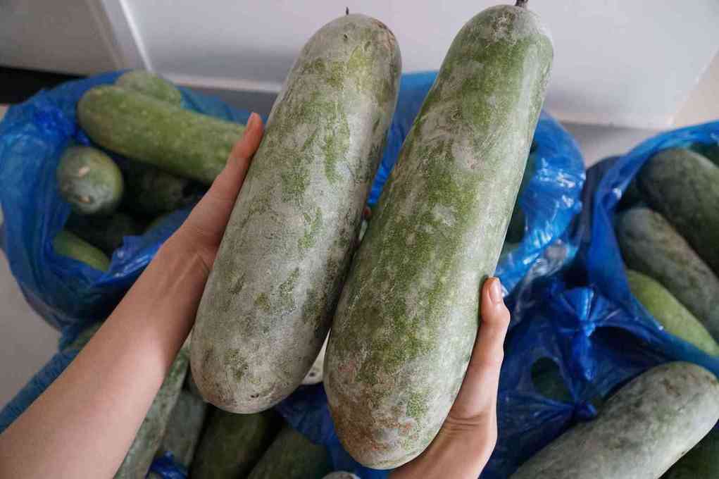 Bí đao già có tác dụng gì - nguyên liệu nấu sâm bí đao