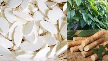 Hoài sơn có tác dụng gì? Củ mài làm món gì?