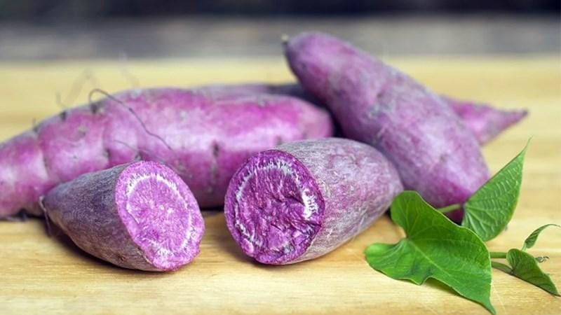 Khoai lang tím hỗ trợ kiểm soát bệnh tiểu đường