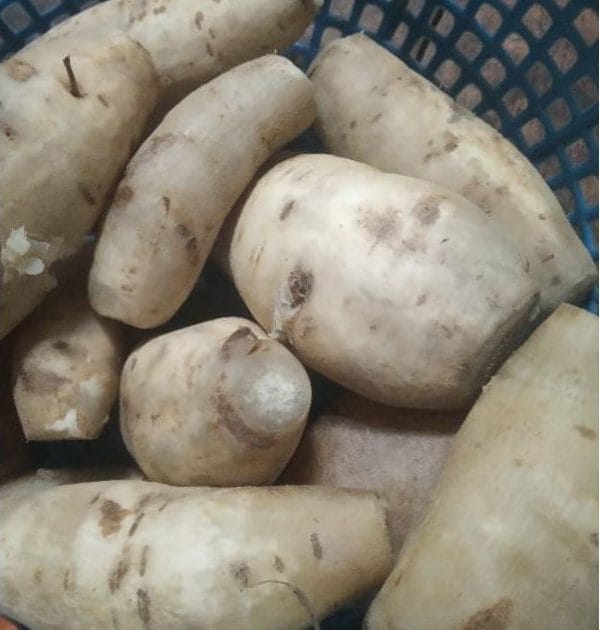 Tác dụng của khoai lang - ăn khoai lang trắng luộc có giảm cân không