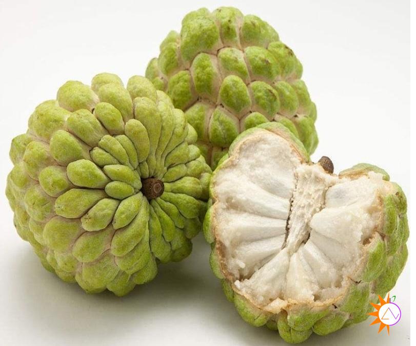 Có bầu cần tránh ăn Mãng cầu ta (quả na)