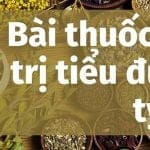 Thuốc Nam điều trị tiểu đường