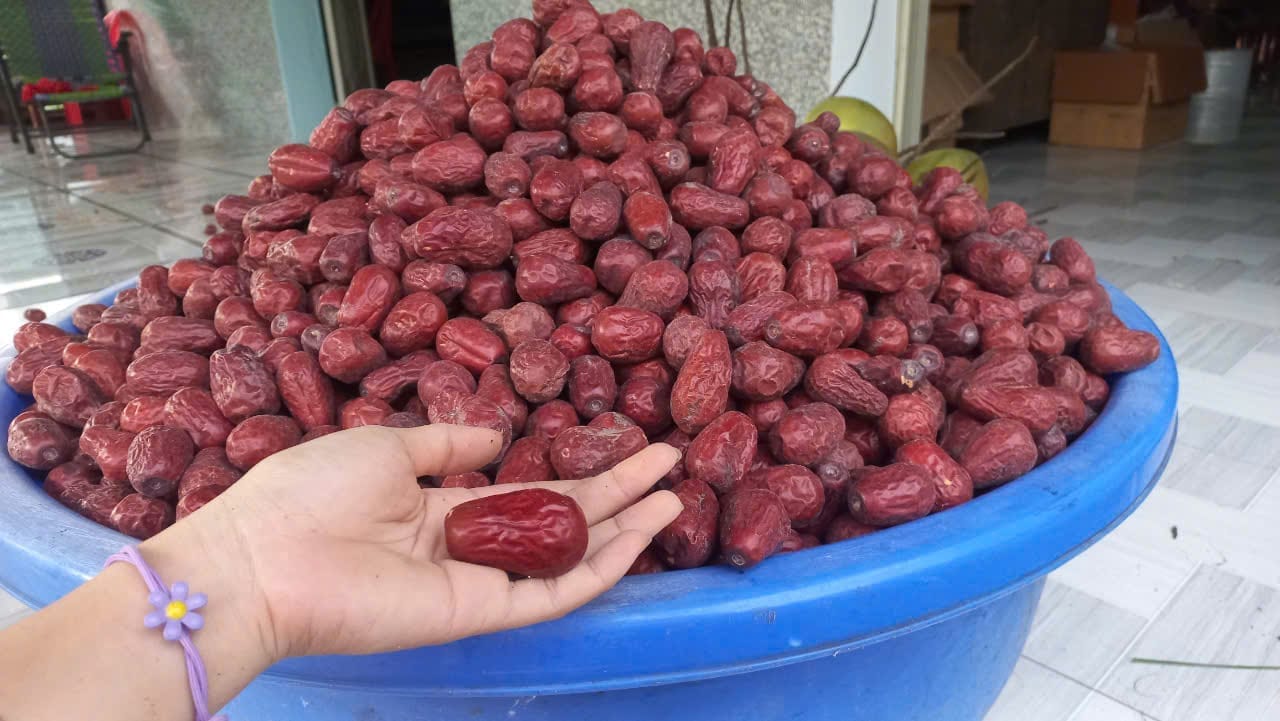 Táo đỏ trung quốc