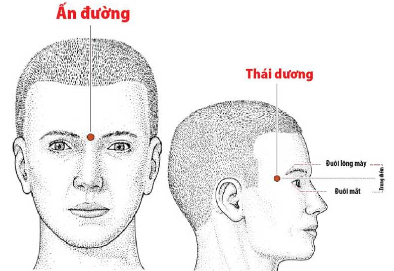 Ấn đường và Thái dương