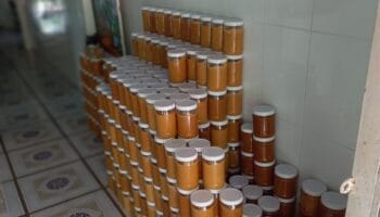 Đường thốt nốt (thốt lốt), đặc sản miền Tây