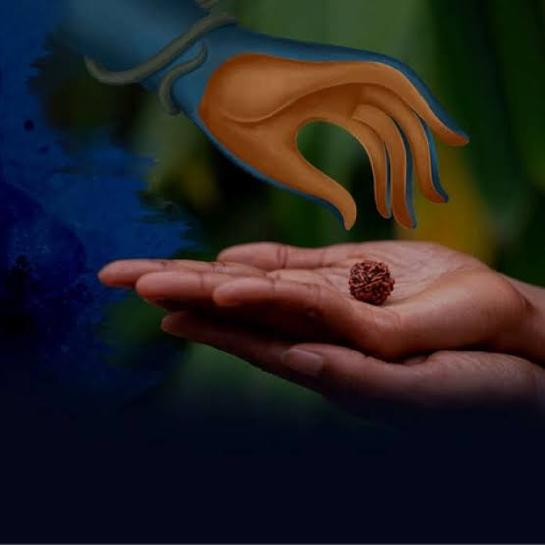 Hạt kim cang có tác dụng gì