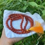 Chuỗi kim cang rudraksha