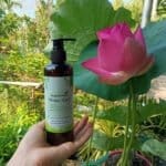 Dầu gội thảo dược tại nhà