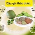 Thành phần nguyên liệu làm dầu gội thảo dược