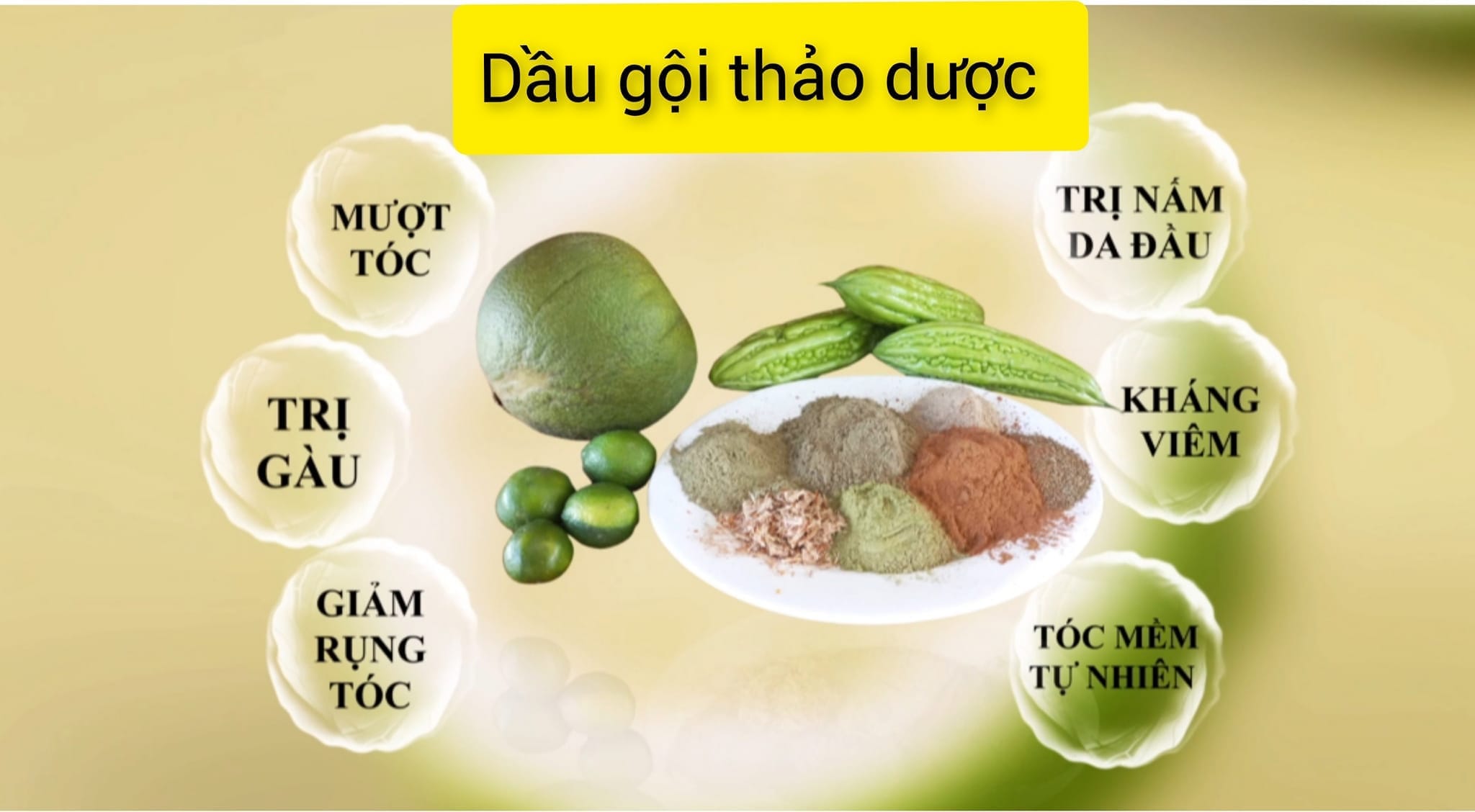 Thành phần nguyên liệu làm dầu gội thảo dược