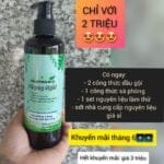 công thức làm dầu gội thảo dược