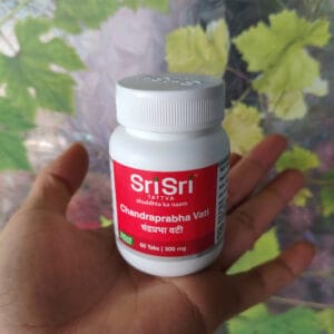 (Ấn Độ) Chandrapraha Vati 60 viên, dùng cho nam nữ sợ lạnh, máu huyết không thông, giúp tăng lực, tăng nhiệt, trị nhiều bệnh khác, bấm vào xem chi tiết hơn, ngày uống 2 lần sau ăn, mỗi lần 1 viên