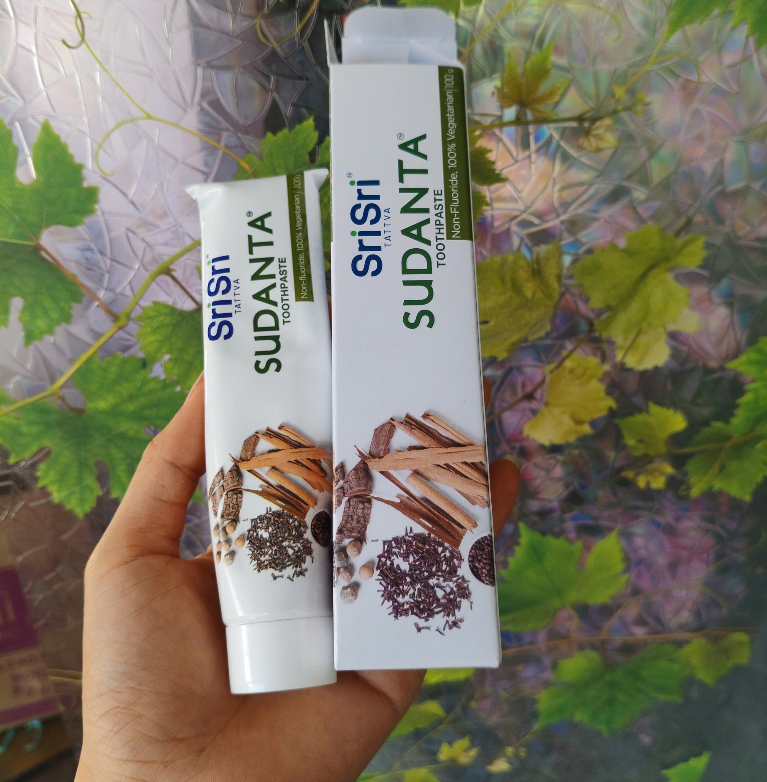 (Ấn Độ) Kem đánh răng thuần chay 100 g không chứa Fluoride và Paraben