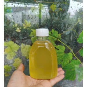 Dầu lạc nguyên chất