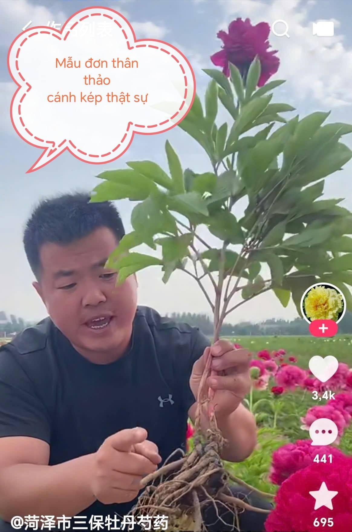 Củ mẫu đơn thật