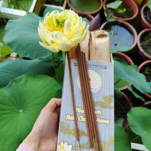 Nhang sạch 100 % thiên nhiên, mỗi hộp 0,5 kg khoảng 400 cây gồm 2 loại thơm dễ chịu: hương bài & khuynh diệp (Việt Nam)